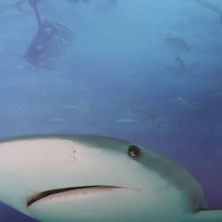 Turísticos Vistademar Luarca